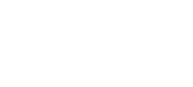 Perito Motors